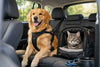 Guide to Pet Car Safety for Every Trip