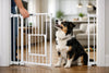 How to Train Your Dog to Use a Pet Gate