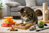 Guide to Cat Enrichment Toys at Home