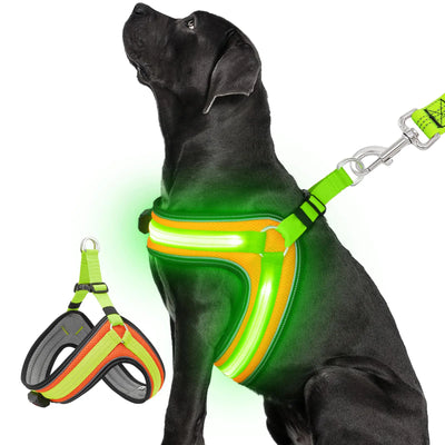 LED Dog Harness