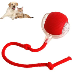 Automatic Pet Ball
