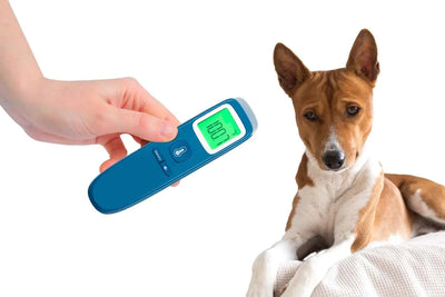 Digital Pet Thermometer