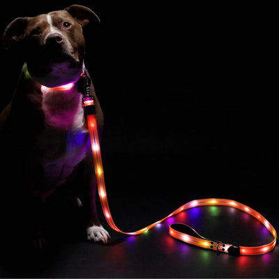 LED Dog Leash