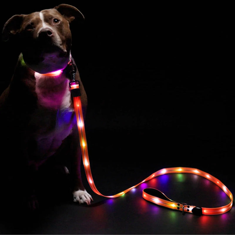 LED Dog Leash
