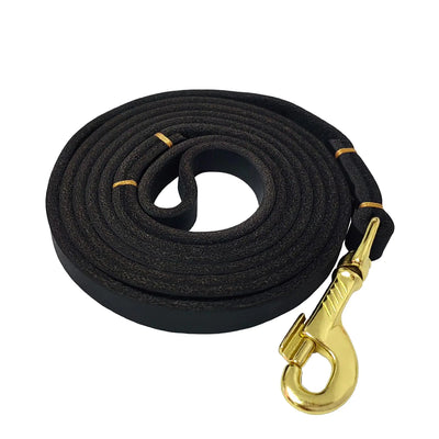 Leather Dog Leash