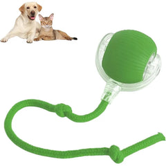 Automatic Pet Ball