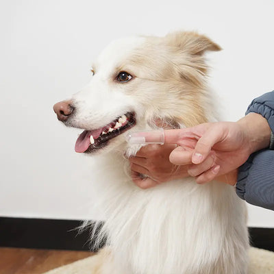 Pet Finger Toothbrush