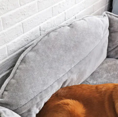 Sofa Pet Bed