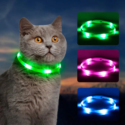 Glowing Pet Collar