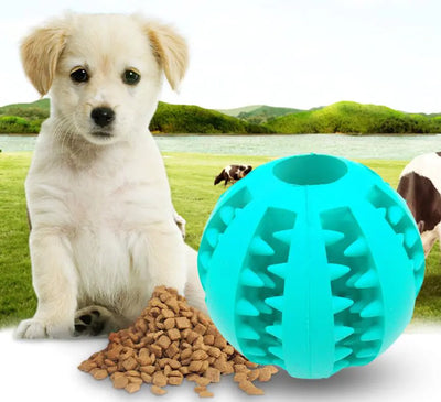Pet Rubber Chew Ball