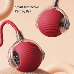 Automatic Pet Ball